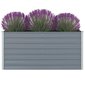 Kõrgendatud peenrakast 160 x 80 77 cm, tsingitud teras, hall hind ja info | Dekoratiivsed lillepotid | kaup24.ee