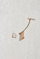 PDPAOLA Mängulised asümmeetrilised hõbedast kõrvarõngad tsirkoonidega PEGASUS Gold AR01-307-U hind ja info | Kõrvarõngad | kaup24.ee