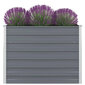 Kõrgendatud peenrakast 100 x 77 cm, tsingitud teras, hall hind ja info | Dekoratiivsed lillepotid | kaup24.ee