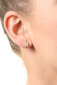 MOISS Elegantsed hõbedased kõrvarõngad selgete ja helesiniste tsirkoonidega E0000179 hind ja info | Kõrvarõngad | kaup24.ee
