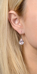 Levien Võluvad kõrvarõngad Pear Light Assooride kristallidega hind ja info | Kõrvarõngad | kaup24.ee