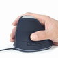 MOUSE USB OPTICAL SPACEGREY/ERGONOMIC MUS-ERGO-03 GEMBIRD hind ja info | Hiired | kaup24.ee