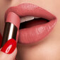 Niisutav huulepulk Kiko Milano Hydra Shiny Lip Stylo, 04 Rosy Mauve цена и информация | Huulepulgad, -läiked, -palsamid, vaseliin | kaup24.ee