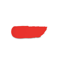 Матовая помада с легким пудровым финишем Kiko Milano Powder Power Lipstick, 18 Poppy Red цена и информация | Помады, бальзамы, блеск для губ | kaup24.ee
