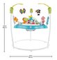 Hüppekiik Fisher Price Color Climbers hind ja info | Käimistoed | kaup24.ee