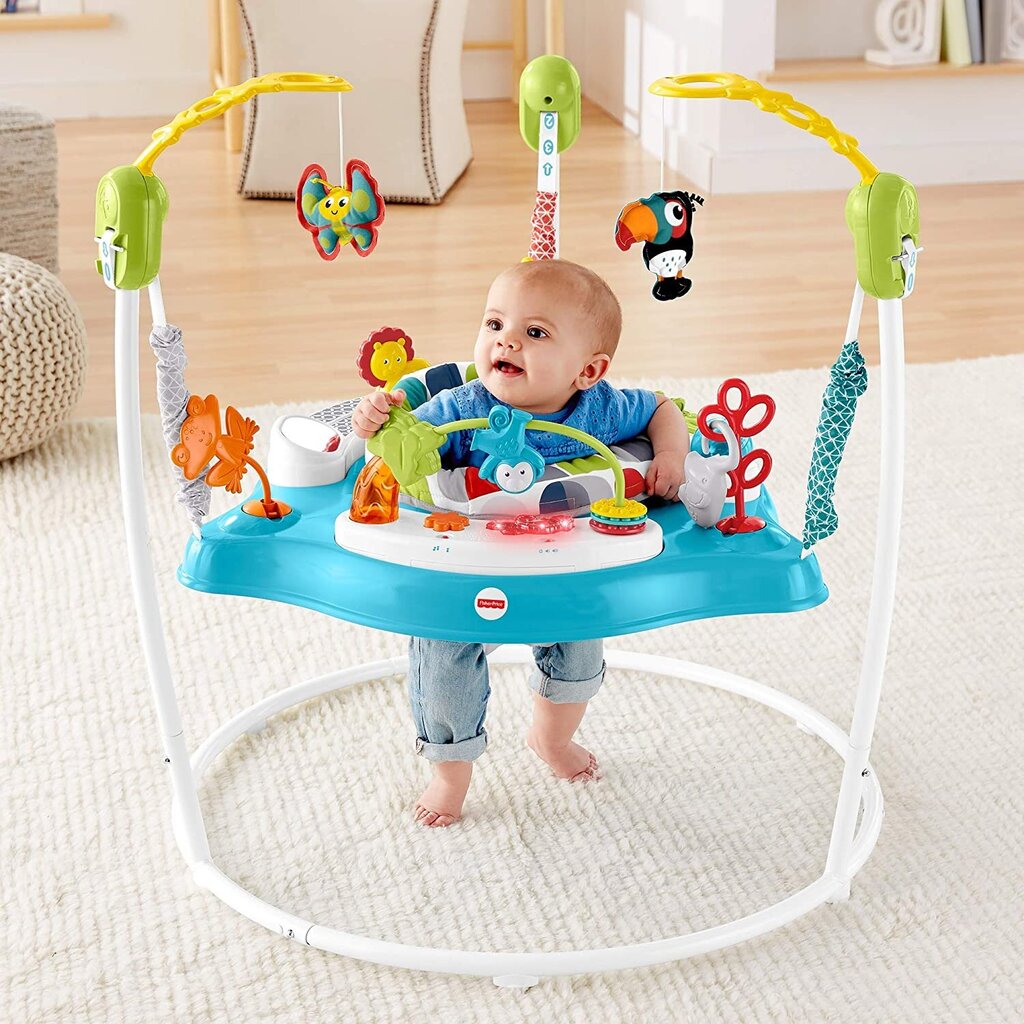 Hüppekiik Fisher Price Color Climbers hind ja info | Käimistoed | kaup24.ee