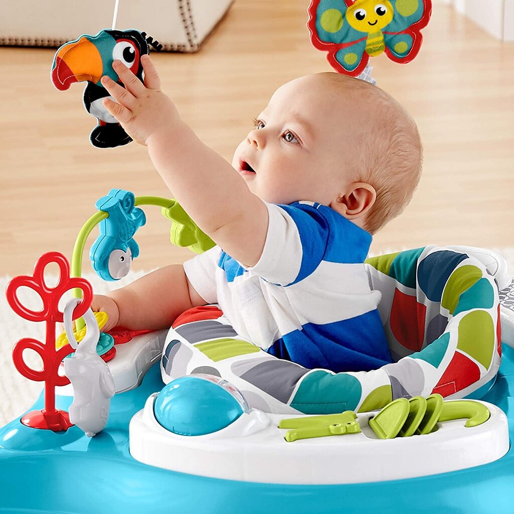 Hüppekiik Fisher Price Color Climbers цена и информация | Käimistoed | kaup24.ee