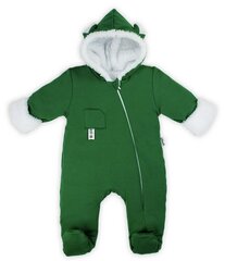 Детский утепленный комбинезон Tomi Nicol, зеленый цена и информация | Комбинезоны для новорожденных | kaup24.ee