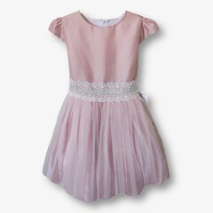 Tüdrukute elegantne kleit цена и информация | Платья для девочек | kaup24.ee