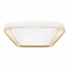 Laevalgusti QUADRO GOLD 38W hind ja info | Laelambid | kaup24.ee