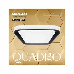 Eko-Light Eko-Light laelamp QUADRO WHITE 38W QUADRO BLACK 38W hind ja info | Laelambid | kaup24.ee