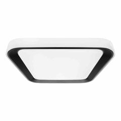 Eko-Light Eko-Light laelamp QUADRO WHITE 38W QUADRO BLACK 38W цена и информация | Потолочные светильники | kaup24.ee