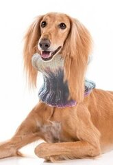 Теплый и красивый шарф для собаки/круглый шарф из мягкой полушерсти цена и информация | Одежда для собак | kaup24.ee