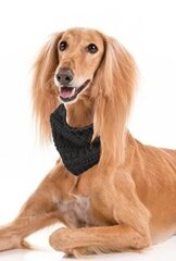 Теплый и красивый шарф для собаки/круглый шарф из мягкой полушерсти цена и информация | Одежда для собак | kaup24.ee