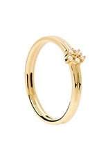 PDPAOLA Võluv kullatud tsirkoonidega sõrmus NOVA Gold AN01-615 hind ja info | Sõrmused | kaup24.ee