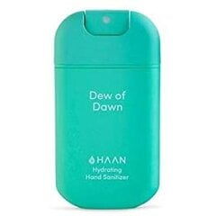 Desinfitseeriv kätegeel Haan Dew of Down, 30 ml цена и информация | Аптечки | kaup24.ee