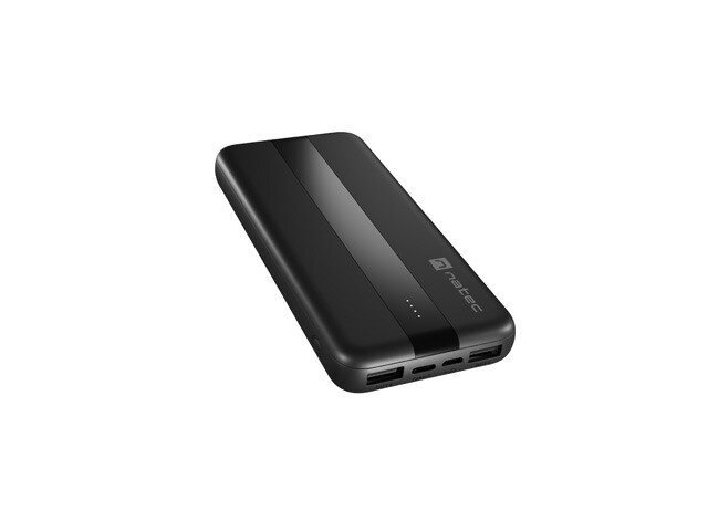 Natec PowerBank Trevi Slim 10000mAh 2x USB + USB-C цена и информация | Akupangad | kaup24.ee