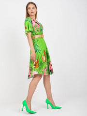 Женское ярко-зеленое платье с принтом цена и информация | Платья | kaup24.ee