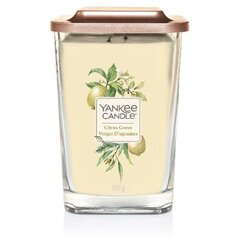 Yankee Candle Elevation Citrus Grove Candle - Scented candle 347.0g цена и информация | Свечи, подсвечники | kaup24.ee