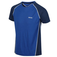 Мужская футболка Regatta Tornell II Active - синий цена и информация | Мужская спортивная одежда | kaup24.ee