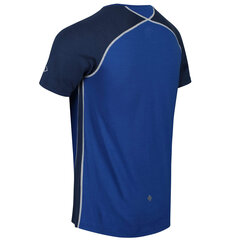 Мужская футболка Regatta Tornell II Active - синий цена и информация | Мужская спортивная одежда | kaup24.ee
