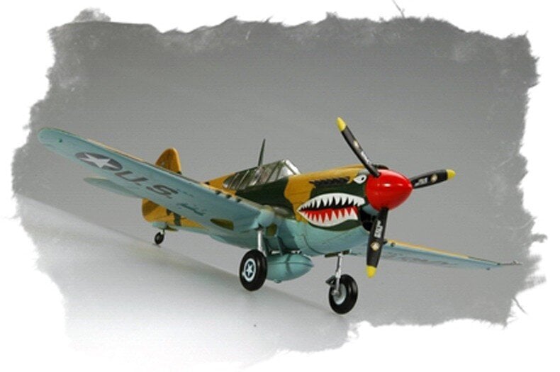 Hobby Boss Plastist mudel P-40E Kitty kull hind ja info | Mudelautode kollektsioneerimine | kaup24.ee