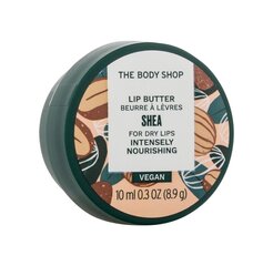 Huulepalsam The Body Shop Shea, 10 ml цена и информация | Помады, бальзамы, блеск для губ | kaup24.ee