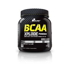 Olimp BCAA Xplode, 500 g hind ja info | Aminohapped | kaup24.ee