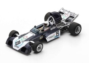 Surtees TS9B #19 5th Argentinean GP 1972 Tim Schenken S3993 Spark 1:43 hind ja info | Mudelautode kollektsioneerimine | kaup24.ee