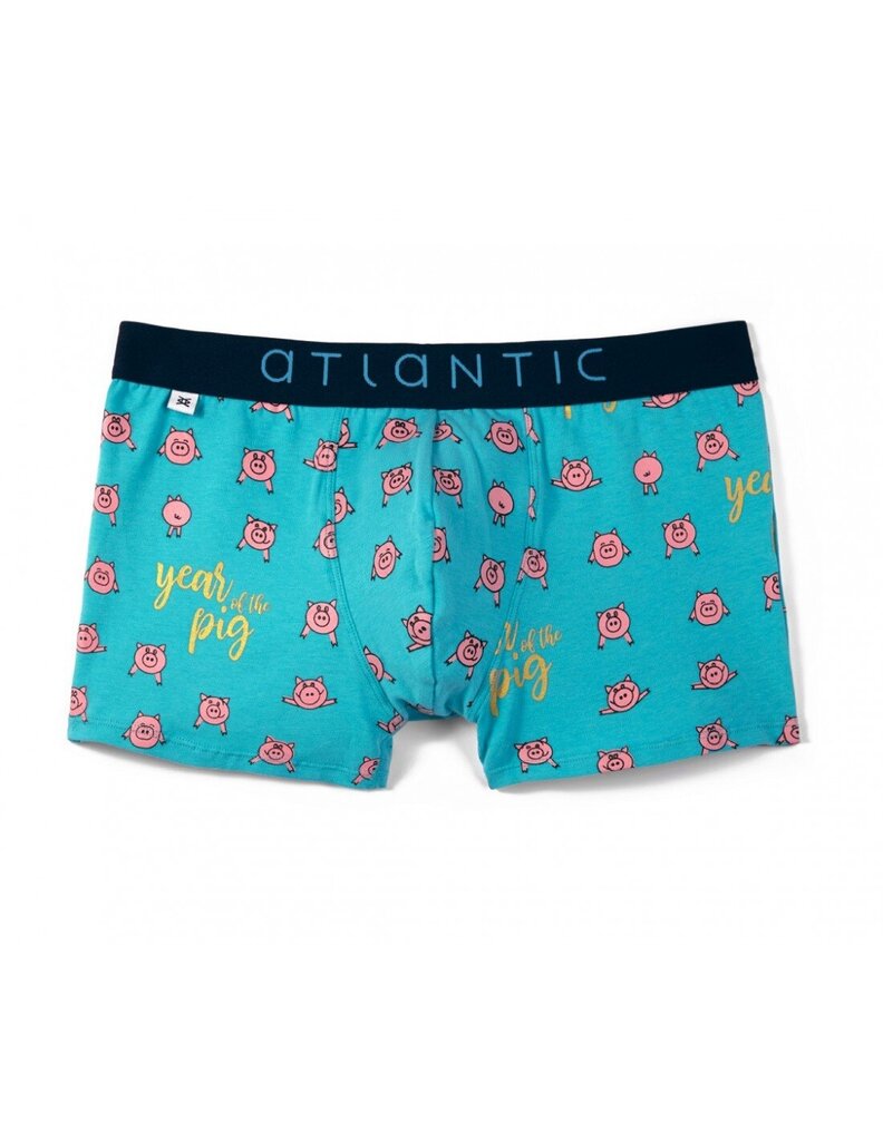 ATLANTIC SHORTS MH-1054 hind ja info | Meeste aluspesu | kaup24.ee