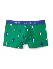 ATLANTIC SHORTS MH-1048 hind ja info | Meeste aluspesu | kaup24.ee