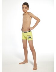 CORNETTE SHORTS KD-701/69 цена и информация | Нижнее белье для мальчиков | kaup24.ee