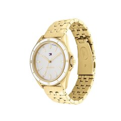 Женские часы Tommy Hilfiger 1782483 цена и информация | Женские часы | kaup24.ee