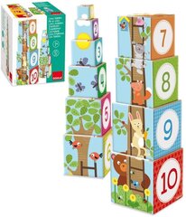 10 развивающих кубиков, Forest Goula, 55219 цена и информация | Развивающие игрушки | kaup24.ee