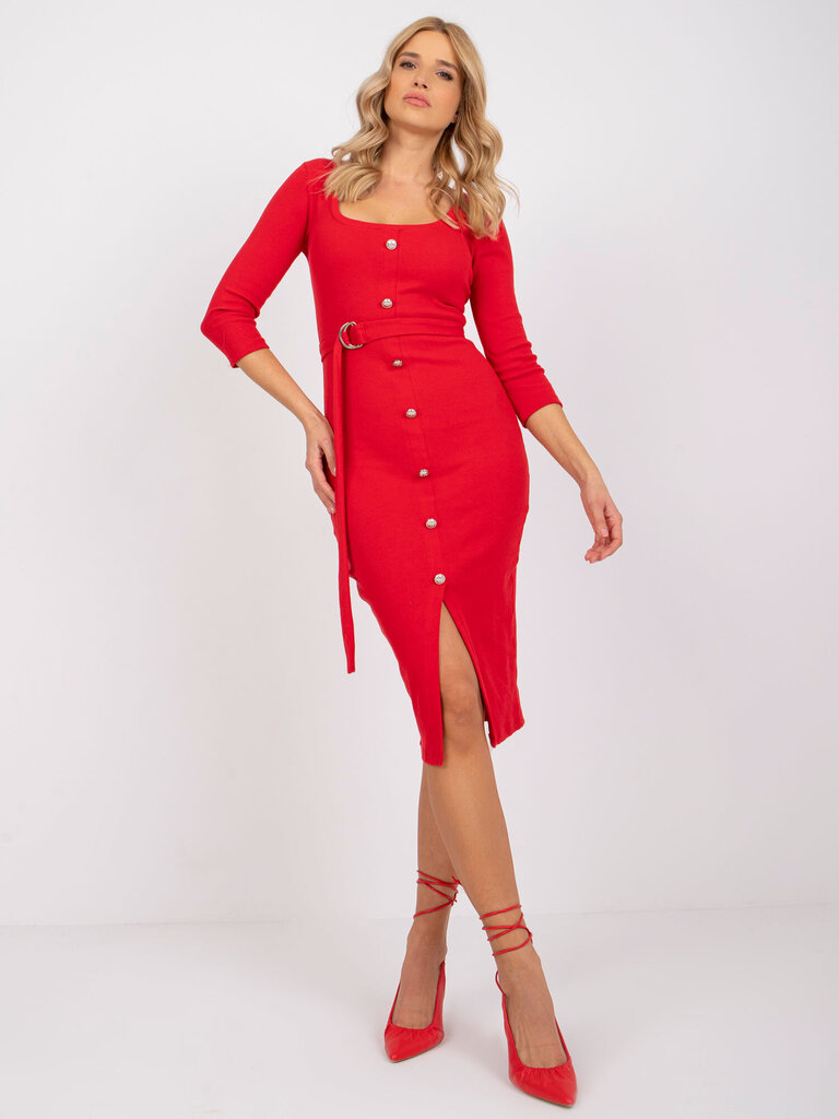 Naiste punane kleit liibuv hind ja info | Kleidid | kaup24.ee