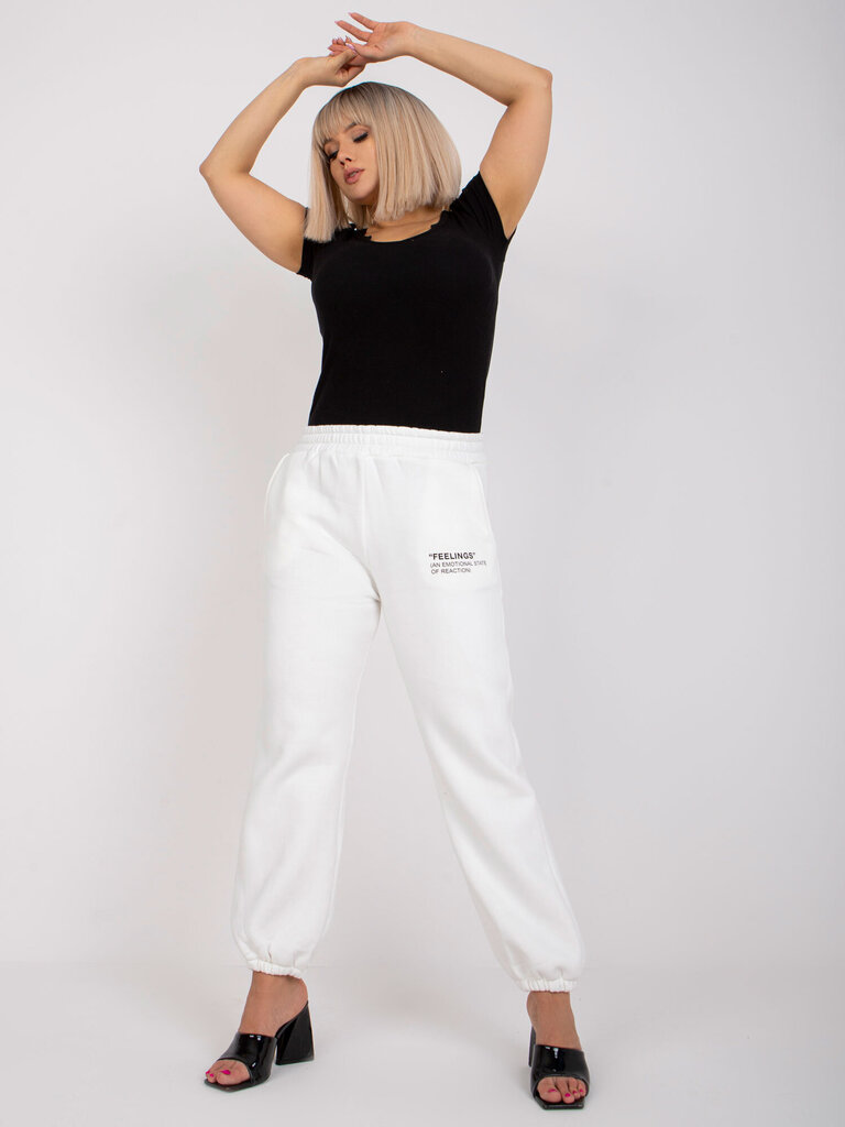 Naiste dressipüksid, valge цена и информация | Naiste püksid | kaup24.ee