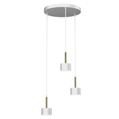 Подвесной светильник ARENA WHITE/GOLD 3xGX53 цена и информация | Люстры | kaup24.ee