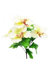 Искусственный букет из орхидей цена и информация | Искусственные цветы | kaup24.ee