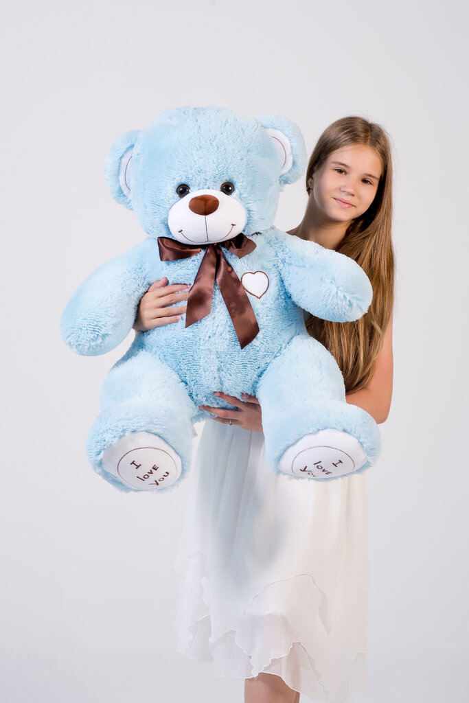 Plüüskaru "I love you" 110 cm helesinine hind ja info | Pehmed mänguasjad | kaup24.ee