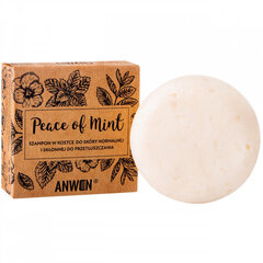 Šampoon normaalsele ja rasusele nahale Anwen Peace of Mint, 75g цена и информация | Шампуни | kaup24.ee
