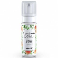 Vahtšampoon kuivale ja tundlikule peanahale Anwen Peach & Coriander, 170 ml цена и информация | Шампуни | kaup24.ee