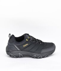 Обувь в спортивном стиле  для мужчин, TF'S  цена и информация | Кроссовки для мужчин | kaup24.ee