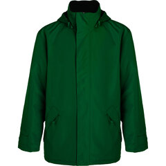 Мужская куртка Europa, зеленая цена и информация | Мужские куртки | kaup24.ee