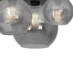 Потолочный светильник SOFIA SMOKED 3xE27 цена и информация | Потолочные светильники | kaup24.ee