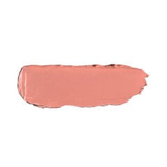 Huulepulk Kiko Milano Glossy Dream Sheer Lipstick, 201 Rosy Beige цена и информация | Помады, бальзамы, блеск для губ | kaup24.ee