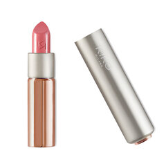 Huulepulk Kiko Milano Glossy Dream Sheer Lipstick, 202 Rose hind ja info | Huulepulgad, -läiked, -palsamid, vaseliin | kaup24.ee