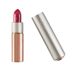 Huulepulk Kiko Milano Glossy Dream Sheer Lipstick, 206 Sangria hind ja info | Huulepulgad, -läiked, -palsamid, vaseliin | kaup24.ee