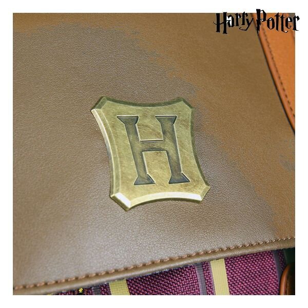 Vaba aja seljakott Harry Potter hind ja info | Koolikotid, sussikotid | kaup24.ee