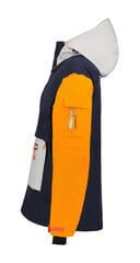 Куртка мужская Icepeak CHELAN, синяя цена и информация | Мужская лыжная одежда | kaup24.ee