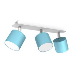 Потолочный светильник DIXIE BLUE/WHITE 3xGX53 цена и информация | Потолочные светильники | kaup24.ee